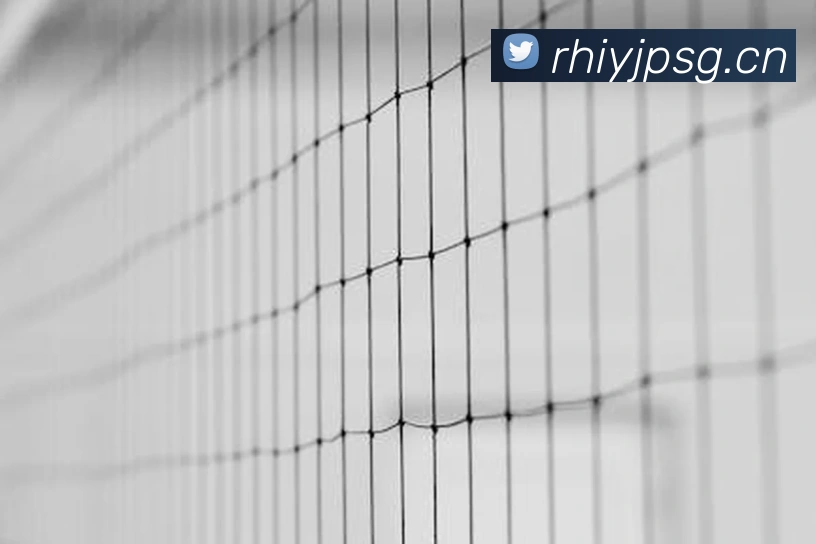 九游j9官网入口平台生态图